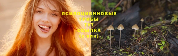 каннабис Аркадак