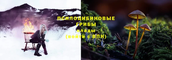каннабис Аркадак