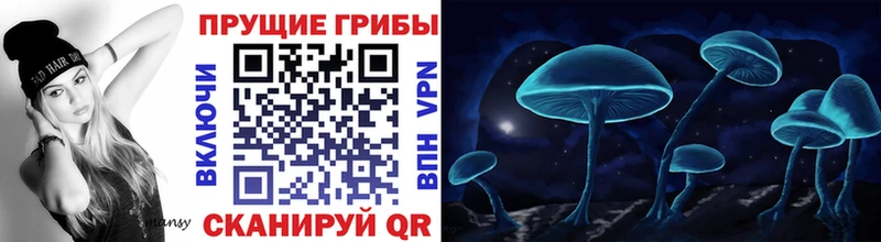 OMG ONION Правдинск Галлюциногенные грибы прущие грибы магазин продажи